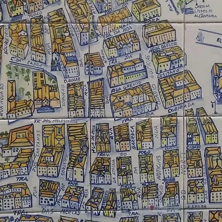 Amazing Camoes - Chiado, Lisbon