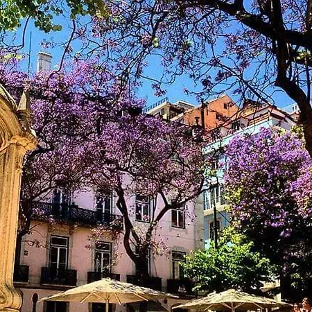Amazing Camoes - Chiado, * Lisbon