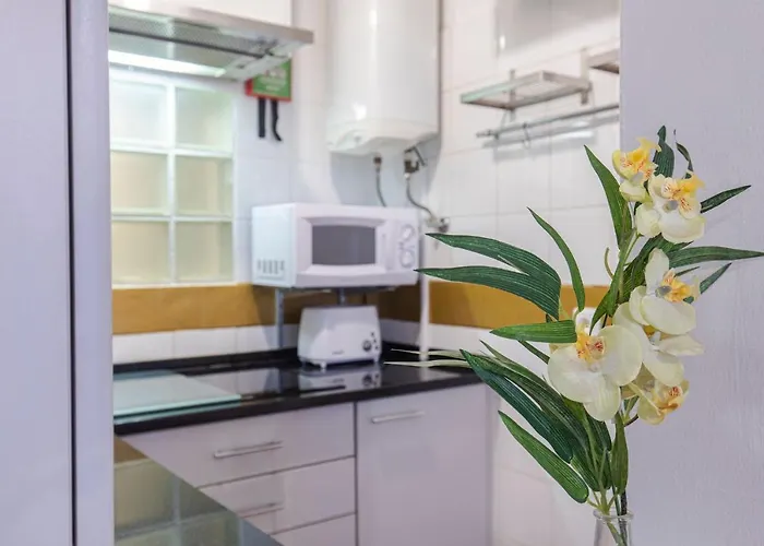 Amazing Camoes - Chiado,