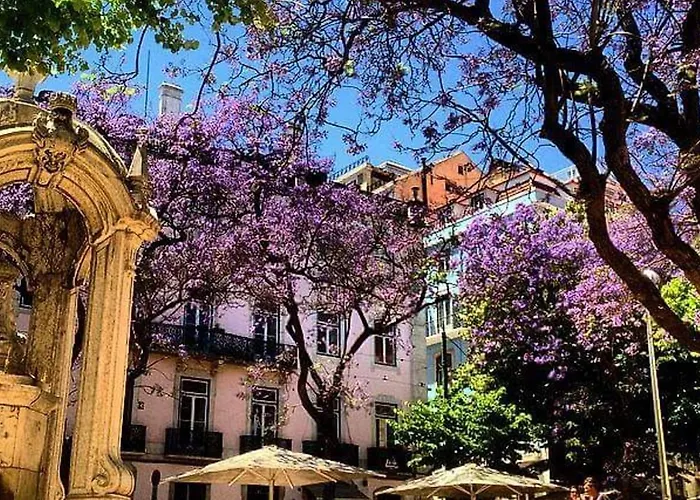 Amazing Camoes - Chiado, * Лиссабон